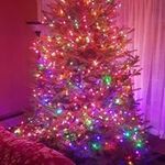 Paul Sabin - @paulysabin - Instagram