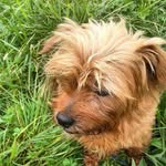 Jean-Paul Sacchetti - @jeanpaulsacchetti - Instagram
