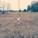 Paul Sachs - @sachspaul - Instagram