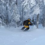 Paul Sachs - @tree.skier - Instagram