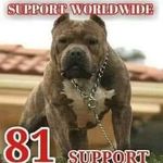Paul Sachs - @paul.sachs.1297 - Instagram