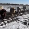 Paul Saenz - @paul.saenz79 - TikTok