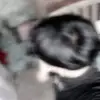 paul saez - @paulsaez00 - TikTok