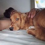 Paul Saines - @paulandresaines - Instagram