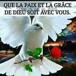 Paul Salem Muana Kabasele - @paulsalemmuana - Instagram