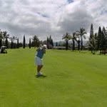 Paul Salerno - @dutch1931 - Instagram