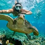 Paul Samuelson - Facebook