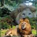 Paul Sande - Facebook