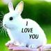 Paul Sande - Facebook