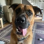Paul sandifer - @buckletuck27 - Instagram