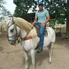 Paulo Santos - @paulosantos__ofc - TikTok