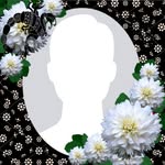 Paul Saul - @paul.saul.75248795 - Instagram