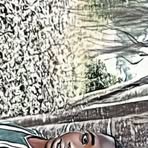 Paul Saul - Facebook