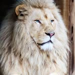 Paul Saul - @paul.saul.7547031 - Instagram