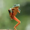PaulSaul - @paulsaul84 - TikTok