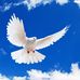 Paul Saulo - Facebook