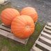 Paula Saxe - Facebook