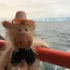paulscales74 - @paulscales74 - TikTok
