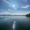 Paul Schadi - @paulschadi - TikTok