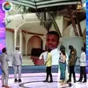 paulschadracgants - @paulschadracgants - TikTok