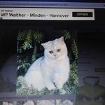 Paul Schaffner - @raisapaul.67 - Instagram