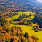 @paulschaffner019 - Instagram
