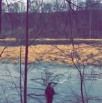 Paul Scheffel - Facebook