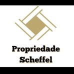 Paulo E Analú Teixeira Scheffel - Facebook