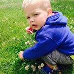 Paul Scheffert - @paulscheffert - Instagram