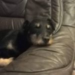 Paul Scheibel - @paulscheibel - Instagram