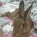 Paul Schembri - Facebook