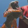 Paul Schembri - @paul.schembri4 - TikTok