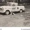 Paul Schembri - @paul.schembri2 - TikTok