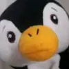 paulschembri259 - @paulschembri259 - TikTok
