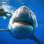 paul schmallenberg - @paul_schmallenberg - Instagram