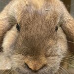 Paul Schroer - @hiimdark1 - Instagram