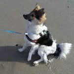 Pauphi - @paul_phillip_schroth - Instagram