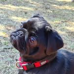 Paul Schwan - @paul.s241 - Instagram