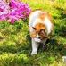 Paul Schwarz - Facebook