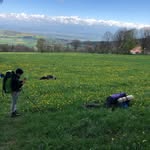 Paul Schweizer - @paul.ch4664 - Instagram