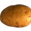 Paul Schweizer - @paul.schweizer - TikTok