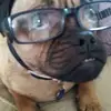 Paul Scully - @paul.scully0 - TikTok