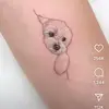 Paul Scully - @paul.scully1 - TikTok