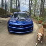 Paul Sealy - @taztnt - Instagram