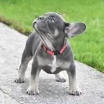 Paul Sealy - @sealy.paul - Instagram