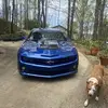 Paul Sealy barddog - @paul.sealy.barddo - TikTok