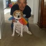 Paul Seay - @paulseay - Instagram