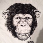 Paul Seebach - @no_buckets8 - Instagram
