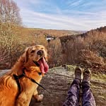 Paul Seely - @paulseely - Instagram