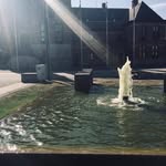 Paul Segers - @paul.segers.710 - Instagram